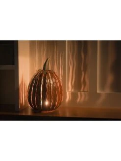 Desert Steel Pumpkin Luminary, Tall -Comfortable Garden 8599559 04v