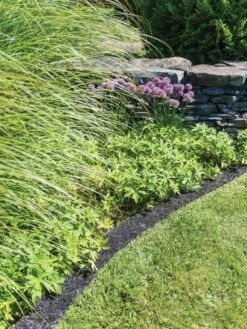 Recycled Rubber Mulch Edging, 12’ X 6” 9 Recycled Rubber Mulch Edging, 12’ X 6” -Comfortable Garden 8599854 0897 tif