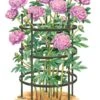 Titan Peony Supports, Large, Set Of 2 -Comfortable Garden 8599857 0001 art tif