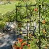 Titan Tomato Cages, Set Of 3 -Comfortable Garden 8599861 0049 tif