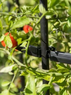 Titan Tomato Cages, Set Of 3 -Comfortable Garden 8599861 0079 tif