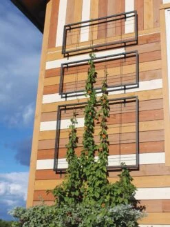 Exeter Wall Trellis -Comfortable Garden 8600049 7121 tif