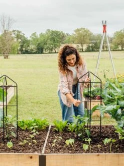 Zenith Folding Garden Supports, Set Of 2 17 Zenith Folding Garden Supports, Set Of 2 -Comfortable Garden 8600073 324 tif