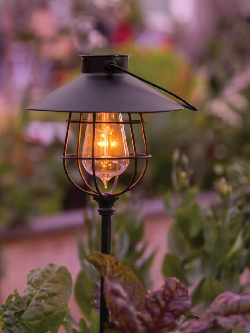 Edi-Sol Marine Solar Pendant Or Staked Lantern 3 Edi-Sol Marine Solar Pendant Or Staked Lantern