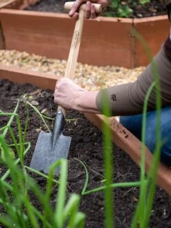 Gardener’s Lifetime Perennial Spade With Short T-Handle -Comfortable Garden 8600310 3305 tif