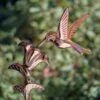 Hummingbird Cottage Copper Weathervane With Roof Mount -Comfortable Garden 8600377 03v hummingbird cottage weathervane roof mount 1