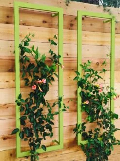Ina Modern Wall Trellis Sr. 13 Ina Modern Wall Trellis Sr. -Comfortable Garden 8600510 01V tif