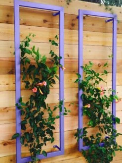 Ina Modern Wall Trellis Sr. 14 Ina Modern Wall Trellis Sr. -Comfortable Garden 8600510 07V tif