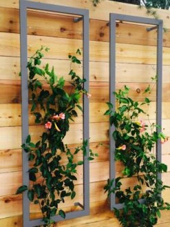 Ina Modern Wall Trellis Sr. 12 Ina Modern Wall Trellis Sr. -Comfortable Garden 8600510 08V jpg