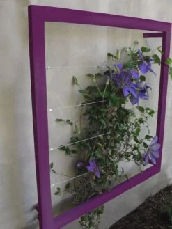 Ina Modern Wall Trellis Jr. 15 Ina Modern Wall Trellis Jr. -Comfortable Garden 8600512 01V tif