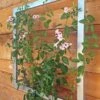 Ina Modern Wall Trellis Jr. -Comfortable Garden 8600512 07V tif