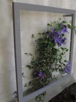 Ina Modern Wall Trellis Jr. 12 Ina Modern Wall Trellis Jr. -Comfortable Garden 8600512 08V jpg