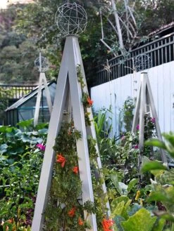 Akoris Garden Tuteur Jr. -Comfortable Garden 8600517 07V tif