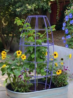 Toki Bubble Trellis 14 Toki Bubble Trellis -Comfortable Garden 8600520 02V tif