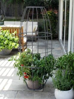 Toki Bubble Trellis 11 Toki Bubble Trellis -Comfortable Garden 8600520 07V jpg