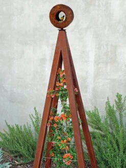 Bird Cafe + Akoris Garden Tuteur Sr.