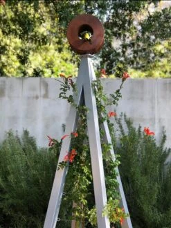 Bird Cafe + Akoris Garden Tuteur Sr. -Comfortable Garden 8600525 07v