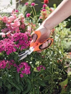 Gardener's Multi Purpose Scissors -Comfortable Garden 8608655 19551 tif