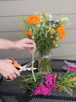 Gardener's Multi Purpose Scissors -Comfortable Garden 8608655 19555 tif