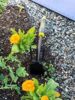 Gardener's 2-in-1 Short Handle Hoe And Cultivator -Comfortable Garden 8608657 19479 tif