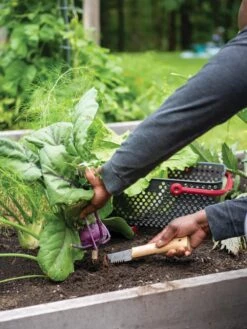 Gardener's Lifetime Hori Hori Knife -Comfortable Garden 8608888 0422 tif