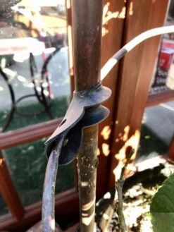 Garden Cane Connects, Set Of 6 8 Garden Cane Connects, Set Of 6 -Comfortable Garden 8609019 03V tif