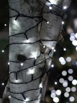 Solar LED String Lights, Lightup125™ -Comfortable Garden 8609126 02V tif