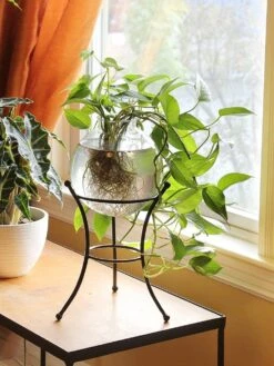 Achla Designs Multi Use Stand -Comfortable Garden 8609343 01v achla designs multi use stand