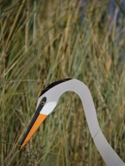 Florida Dancing Birds®, Great Blue Heron -Comfortable Garden 8609451 03V jpg