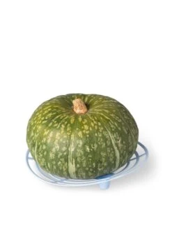 Melon And Squash Cradles, Set Of 6 -Comfortable Garden 8609464 5204 tif