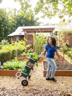 Mod Hod Trolley With Teal Mod Hods -Comfortable Garden 8610240 0070 tif