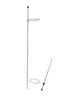 Peacock Mini Plant Support Rings 4", Set Of 2 14 Peacock Mini Plant Support Rings 4", Set Of 2 -Comfortable Garden 8610386 9566