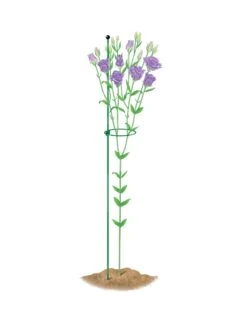 Peacock Mini Plant Support Rings 4", Set Of 2 12 Peacock Mini Plant Support Rings 4", Set Of 2 -Comfortable Garden 8610386 peacock4x36