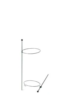 Peacock Mini Plant Support Rings 8", Set Of 2 -Comfortable Garden 8610387 9571 tif