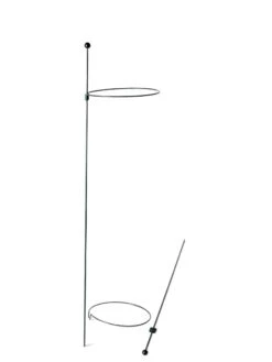 Peacock Mini Plant Support Rings 8", Set Of 2 -Comfortable Garden 8610388 9565 tif