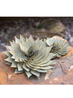 Desert Steel Spiral Aloe Sculpture -Comfortable Garden 8610749 03v