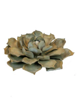 Desert Steel Blue Rose Succulent Sculpture -Comfortable Garden 8610763 01v desert steel blue rose succulent small