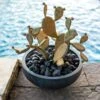 Desert Steel Prickly Pear Cactus Sculpture, Redondo -Comfortable Garden 8610768 01v desert steel prickly pear cactus redondo