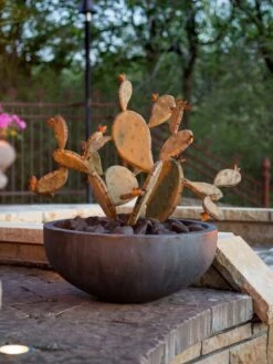 Desert Steel Prickly Pear Cactus Sculpture, Redondo -Comfortable Garden 8610768 03v