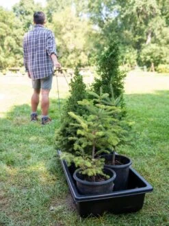 Gardener's Summer Sled And Cover -Comfortable Garden 8611044 229 tif