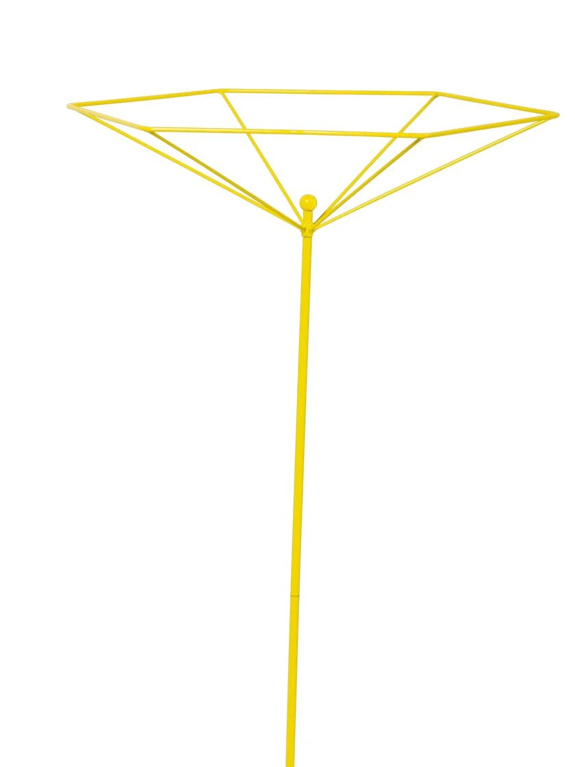 Parasol Plant Supports, Set Of 3 8 Parasol Plant Supports, Set Of 3 - Image 6