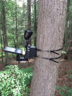 MAXSA® Solar-Powered LED Flag Light 11 MAXSA® Solar-Powered LED Flag Light -Comfortable Garden 8611318 03v