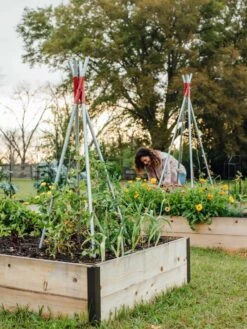 DIY Connector For Teepee Trellis -Comfortable Garden 8611896 38 tif