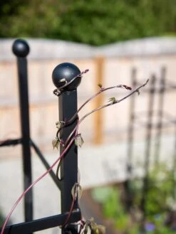 Essex Square Obelisk 12 Essex Square Obelisk -Comfortable Garden 8611984 278 tif