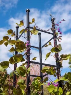 Essex Square Obelisk 10 Essex Square Obelisk -Comfortable Garden 8611984 354 tif