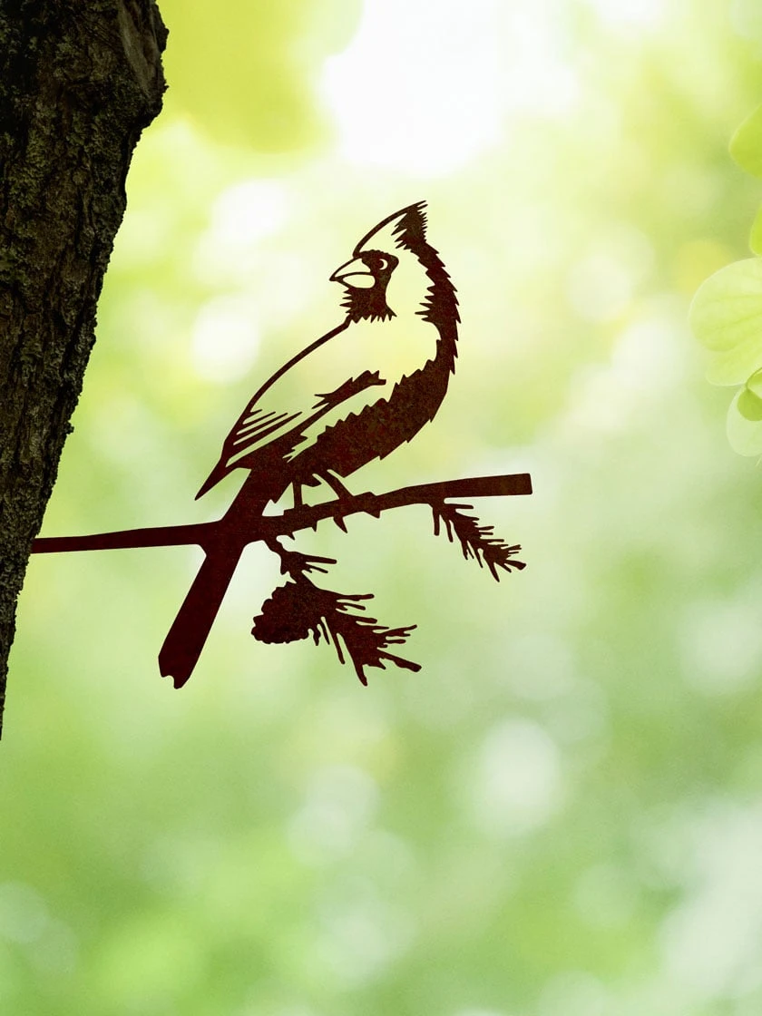 Metalbird Cardinal 3 Metalbird Cardinal