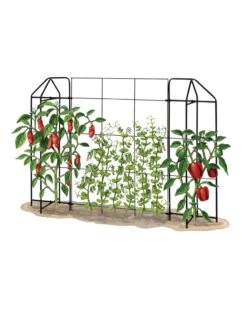 Zenith Trellis 8 Zenith Trellis -Comfortable Garden 8612035 art tif