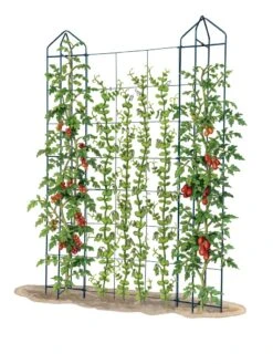 Zenith Trellis 9 Zenith Trellis -Comfortable Garden 8612036 art tif