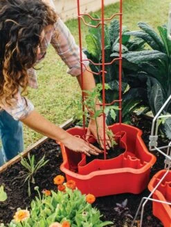 Deluxe Tomato Halos, Set Of 2 -Comfortable Garden 8612045 135 tif