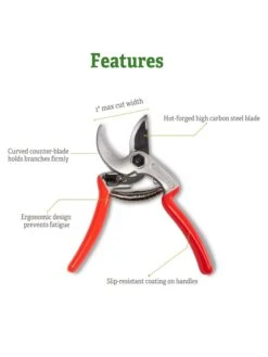 Castellari Mini Anvil Pruner 12 Castellari Mini Anvil Pruner -Comfortable Garden 8612199 5